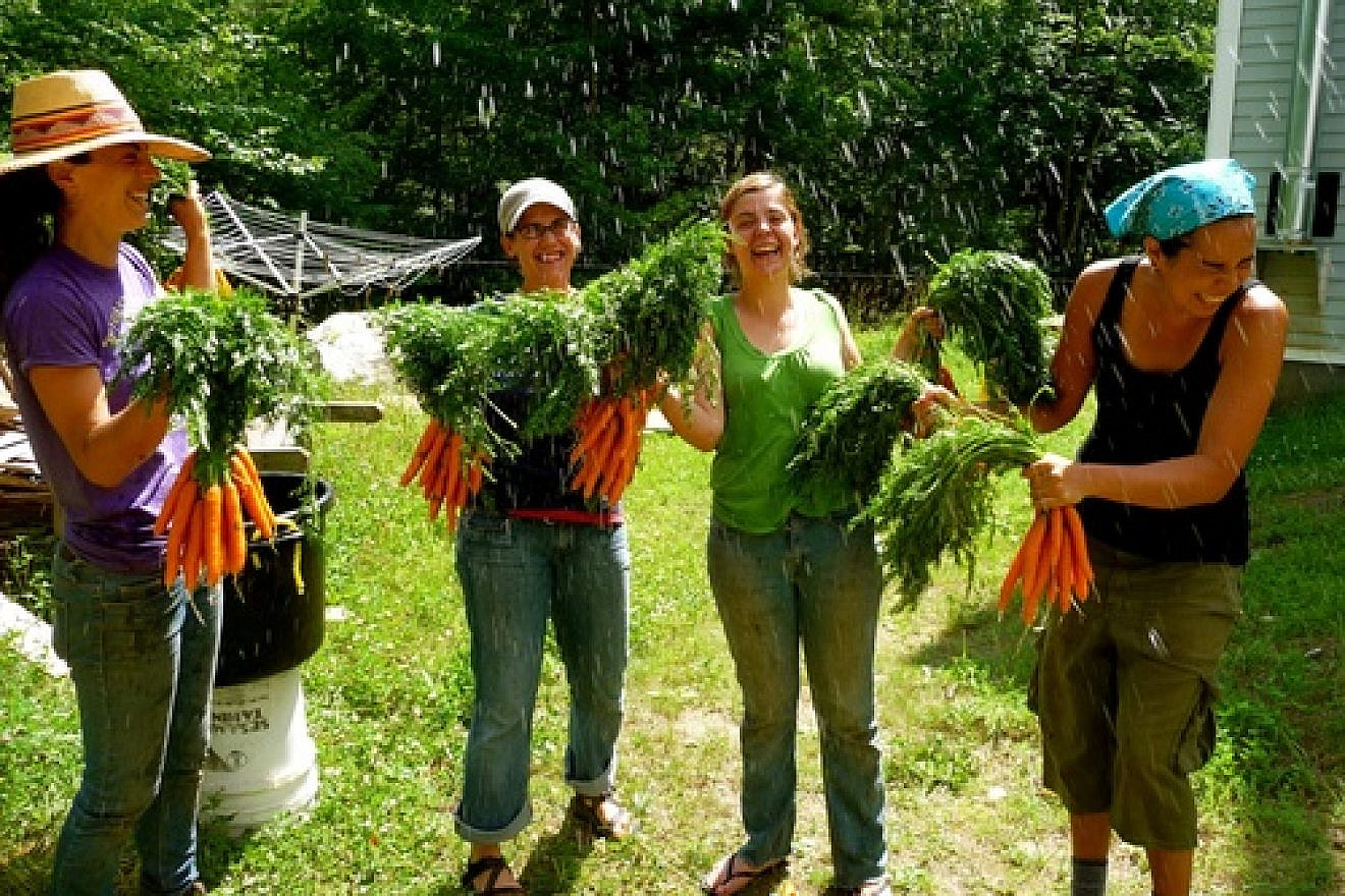 Click photo to download. Caption: Staff and participants of the Adamah Jewish farming program wash the harvest in Falls Village, Conn., in 2012. Credit: Courtesy of Hazon.