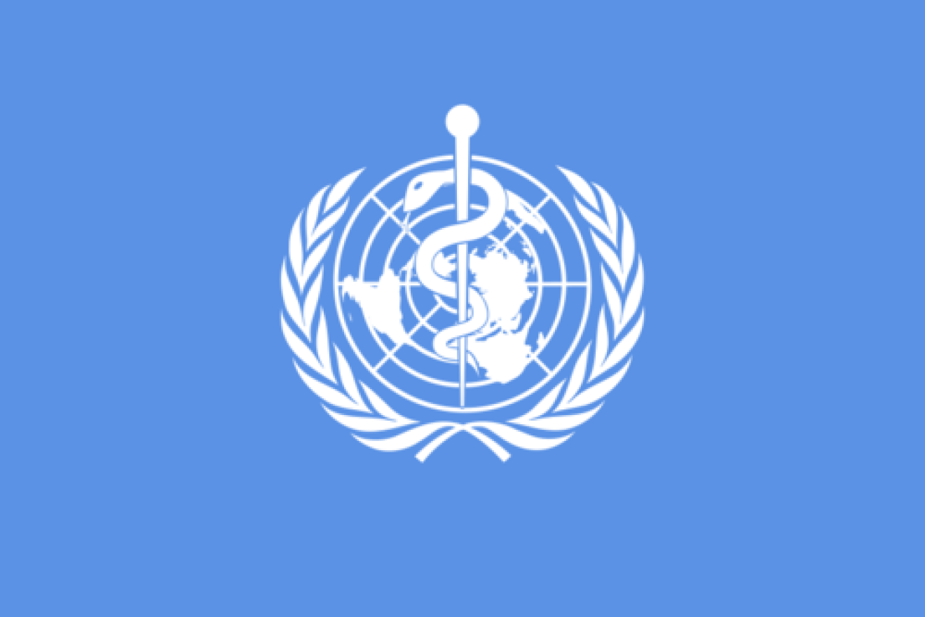 The flag of the World Health Organization, which singled out Israel for violating health rights. Credit: WHO.