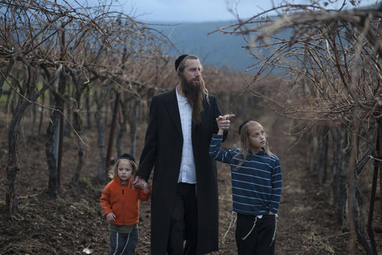 Israeli farmer Ira Zimerman with his children in his vineyard, which harvests grapes to serve a large area winery. Credit: The Shmitah Fund.