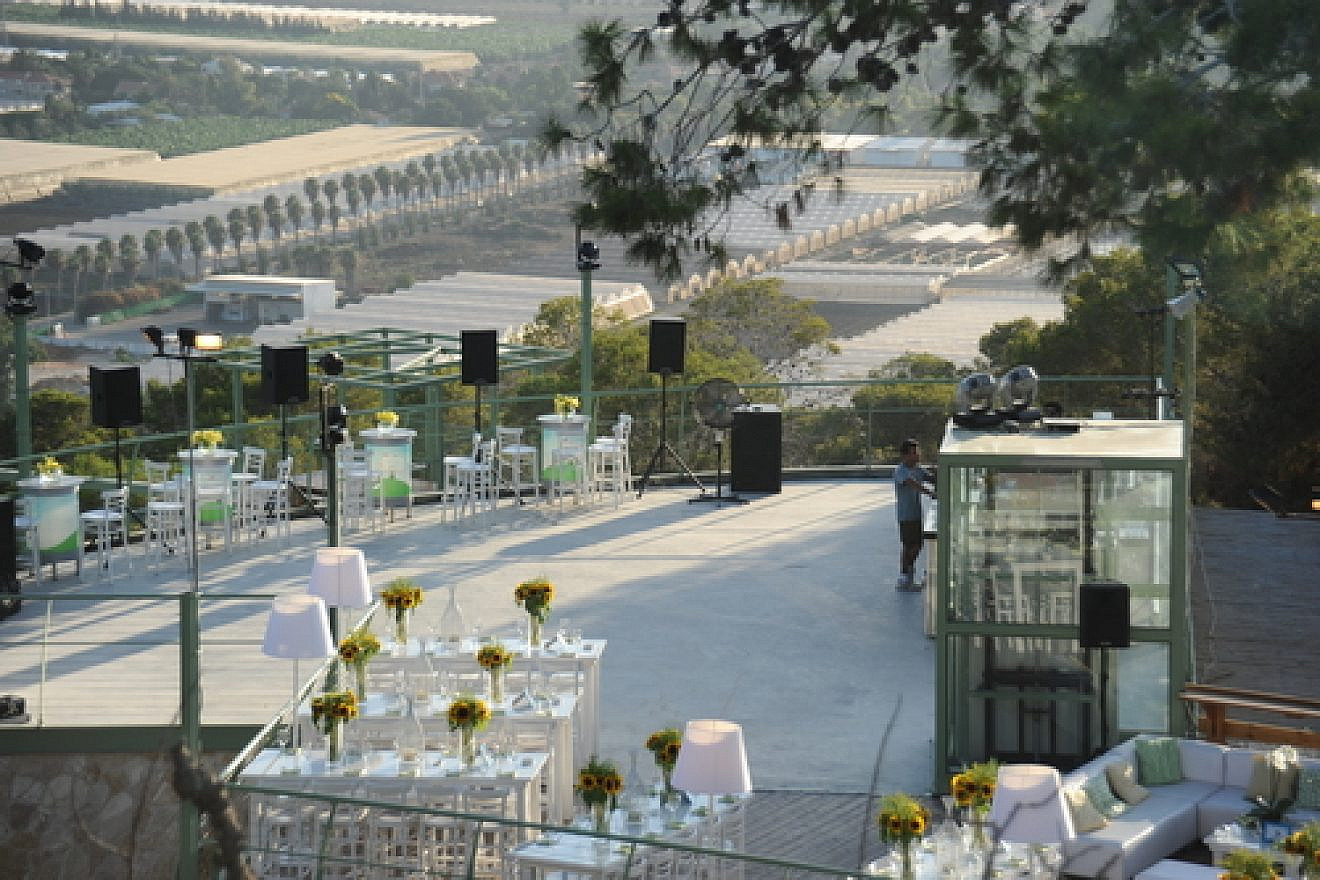 The Yam Carmel wedding venue in the Ofer Forest near Haifa. Credit: Yam Carmel.