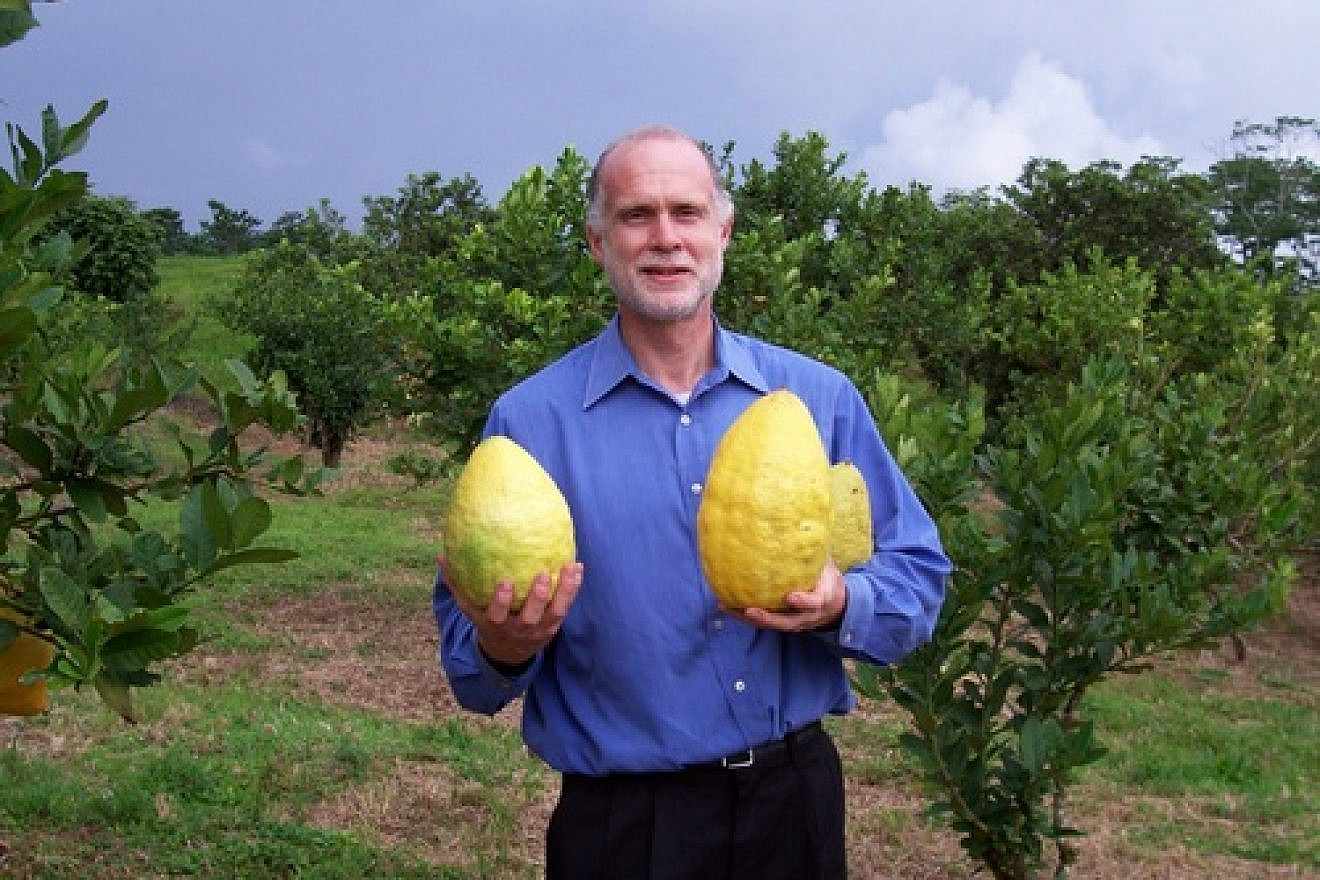 Darrell Zaslow poses with massive etrog fruits that he grew. Credit: Courtesy.