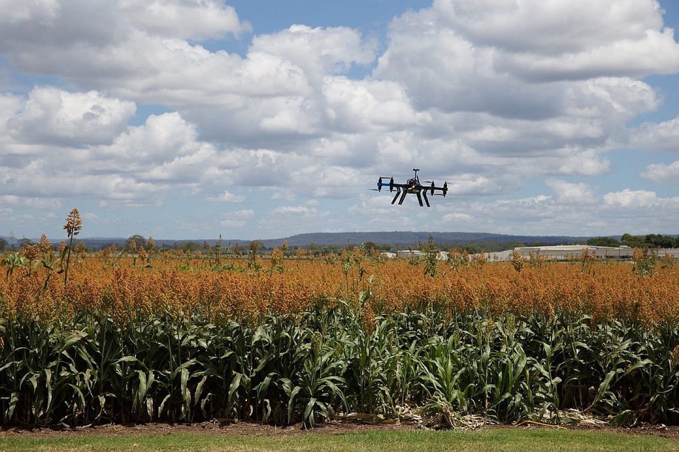 Illustrative: A drone flying through corn fields highlighting "agTech" or agricultural technology. Credit: Pixabay Creative Commons.