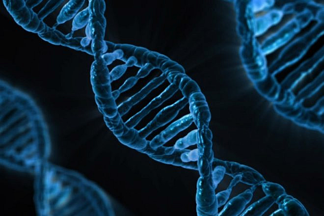 A depiction of DNA strands. Credit: Pixabay.