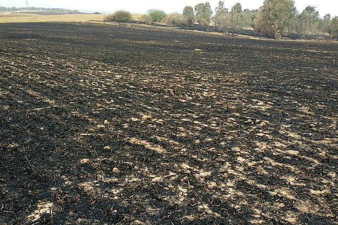 Fields of the Eshkol Regional Council in southern Israel scorched by fire caused by incendiary devices sent from Hamas in Gaza, May 6, 2018. Credit: Photo by Nizzan Cohen/Wikimedia Commons.