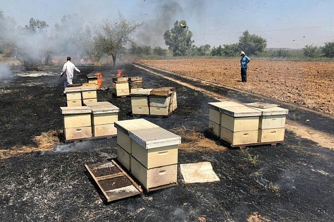 Honey farmers inspecting bee hives that had caught fire from incendiary attacks from Hamas in the Gaza Strip in its campaign of arson terrorism, August 2018. Credit: Alon Sigron.