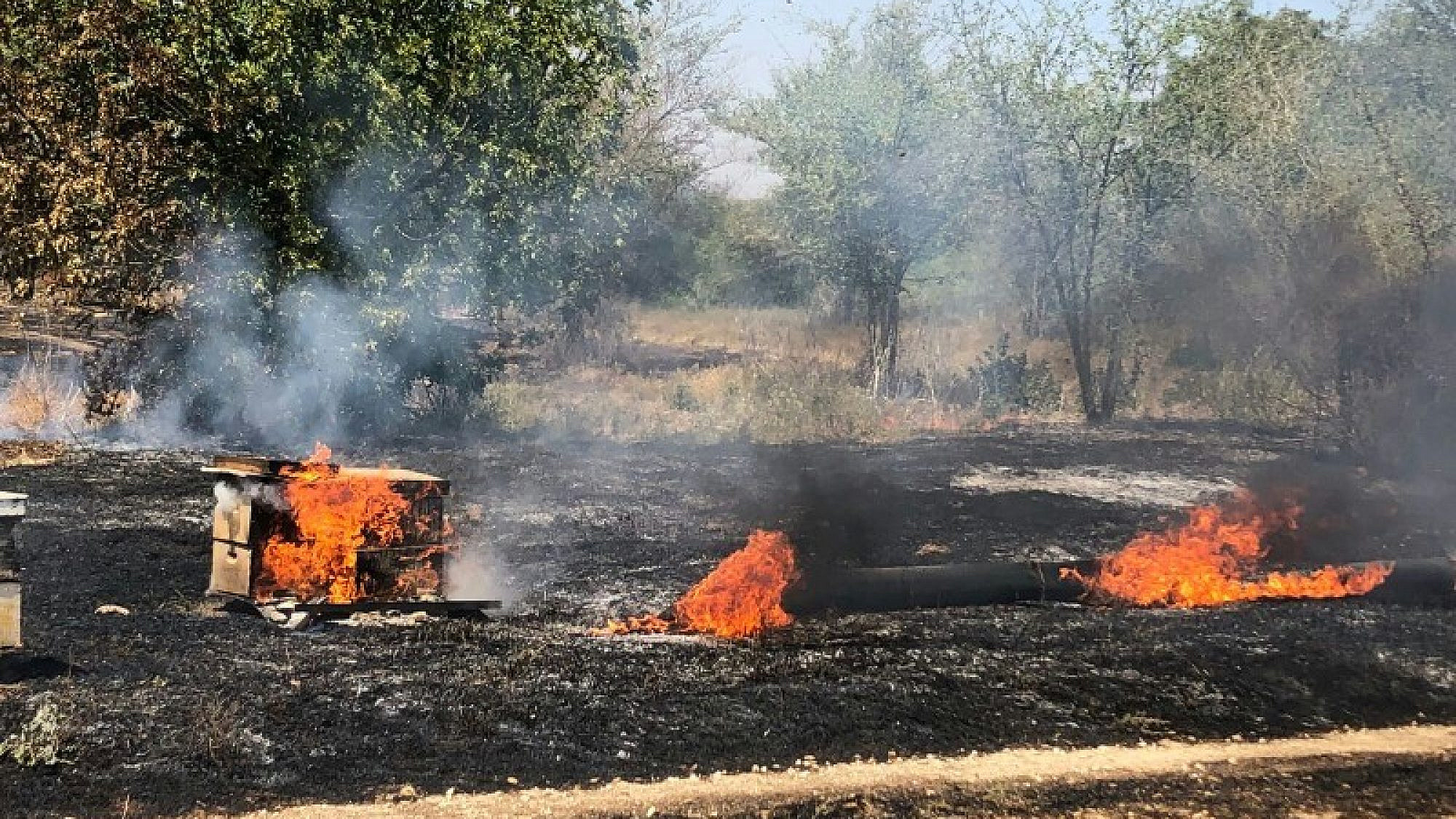 A beehive in flames from an incendiary kite at a honey farm in southern Israel near the Gaza Strip. Credit: Alon Sigron.