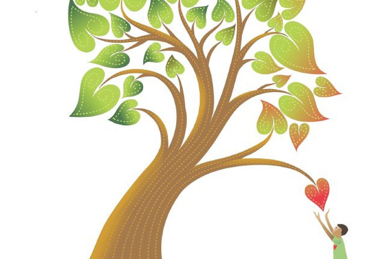 The logo of NechamaComfort, one of six organizations selected under the Orthodox Union's Impact Accelerator project. Credit: Courtesy.