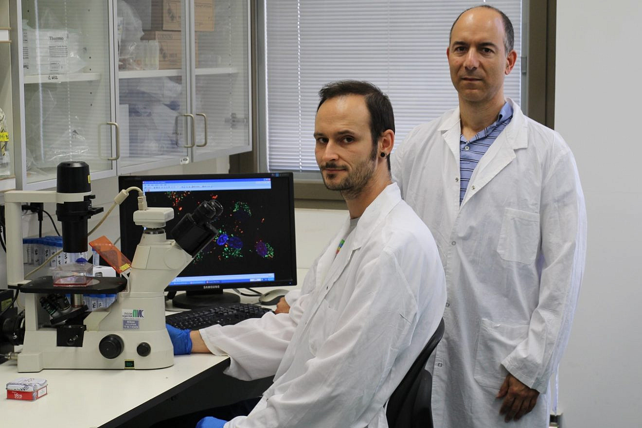 Hebrew University Ph.D. student Maxim Mogilevsky (left) and Professor Rotem Karni in the Institute for Medical Research-Israel Canada lab. Photo by Polina Denichenko courtesy of Hebrew University.