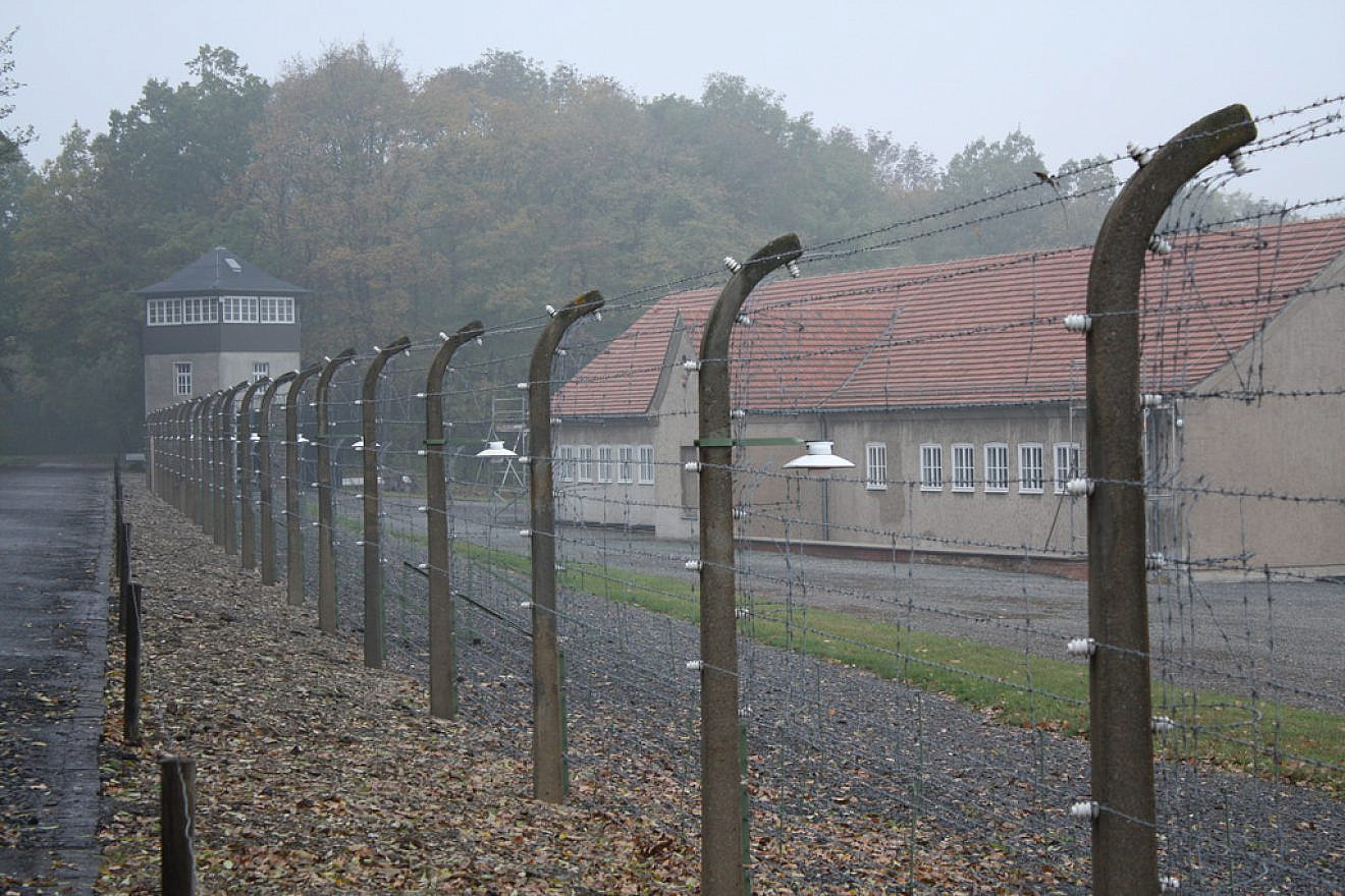 Part of the barbed wire surrounding the former Buchenwald camp. Credit: Lars K. Jensen/Flickr.