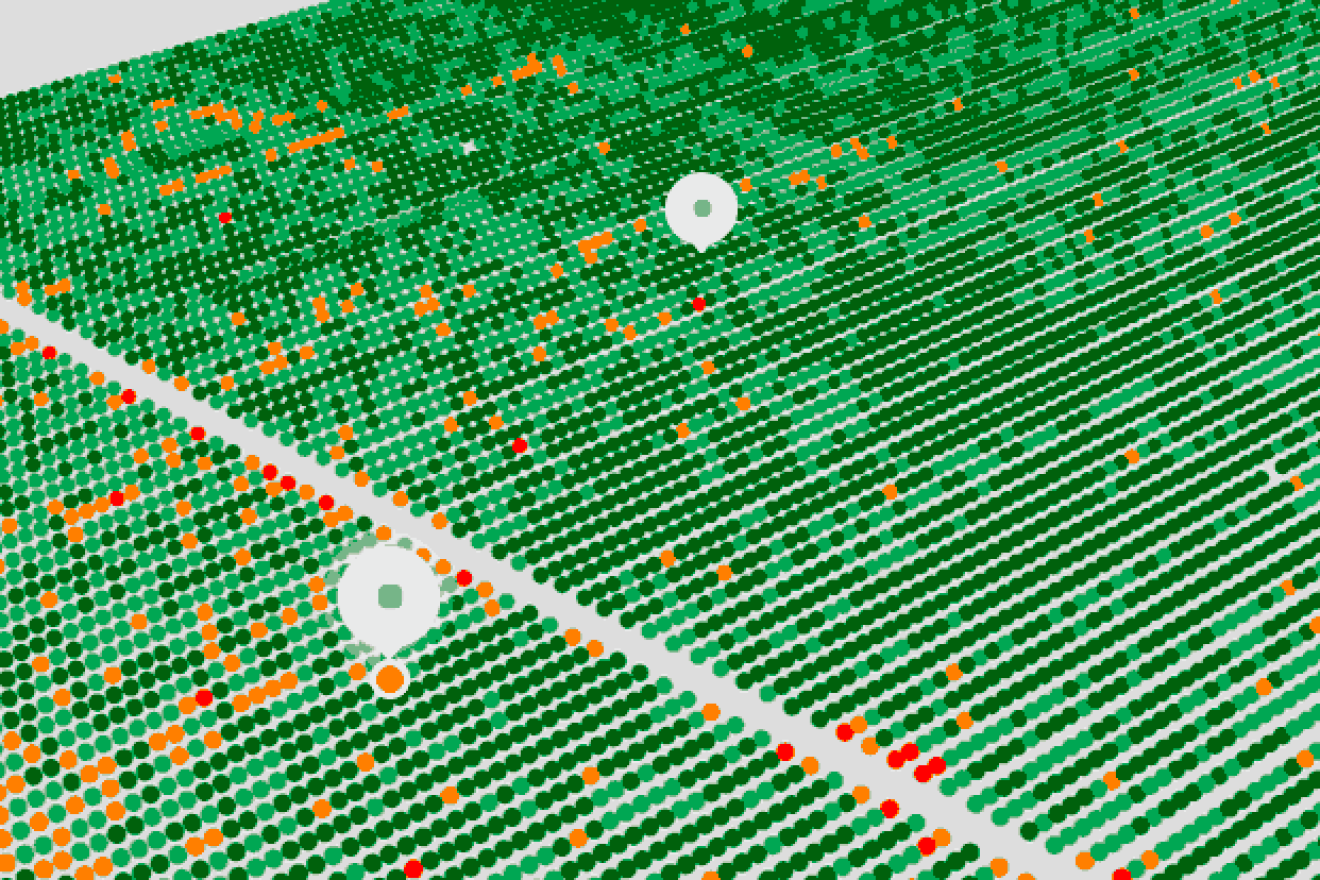 Israeli startup SeeTree utilizes drones and artificial intelligence to enable precision agriculture for orchards. Credit: Screenshot via SeeTree.