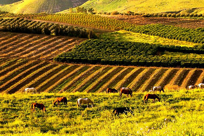 Farms in the Golan Heights. Credit: Shifra Levyathan via Wikimedia Commons.