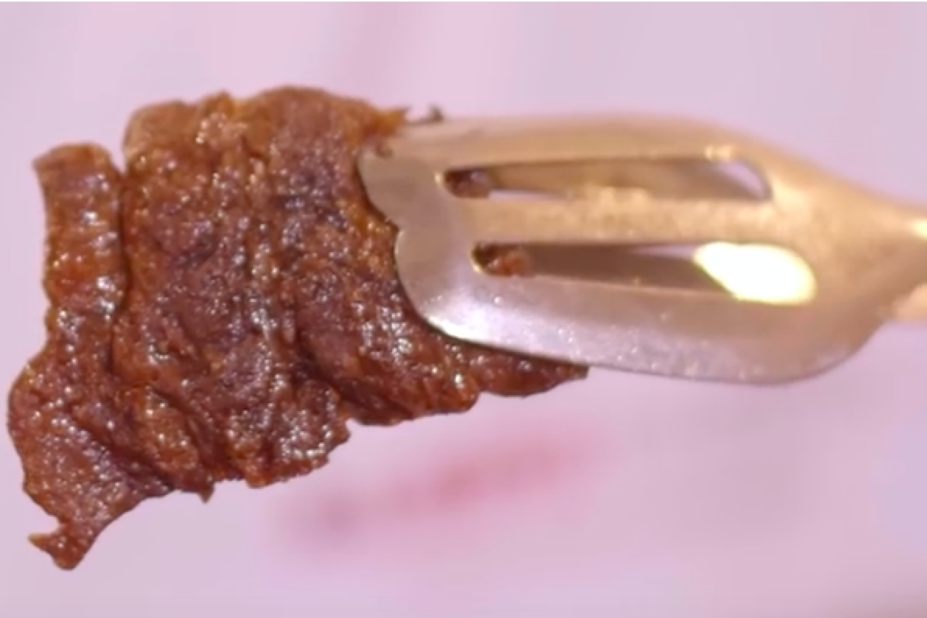 Cellular steak by Israeli lab beef company Aleph Farms Ltd. Credit: Screenshot.