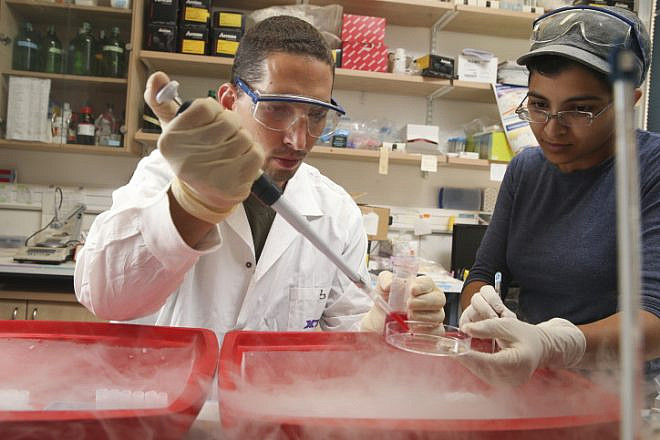 Dr. Ronny Helman and his team work in a laboratory at the Medical Faculty at the Hadassah Ein Kerem hospital in Jerusalem on Aug. 12, 2013. Helman and his team are conducting research in the search for a cure for diabetes. Photo by Nati Shohat/Flash90.