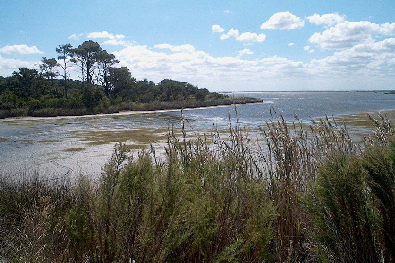 False Cape State Park, Virginia Beach, Va. Credit: Wikimedia Commons.