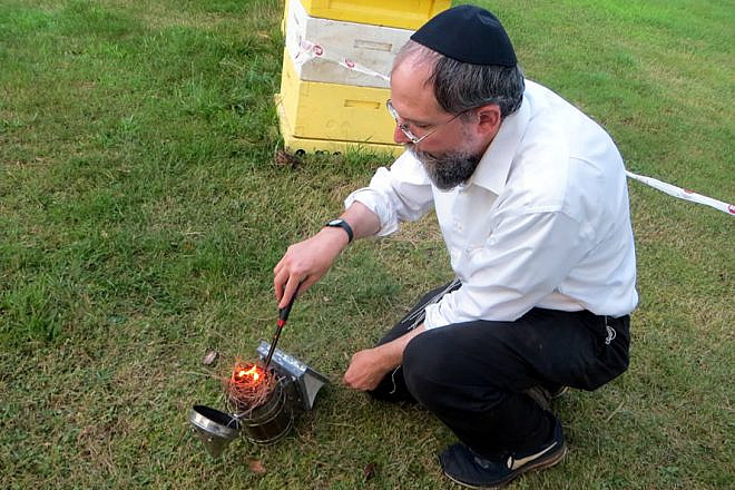 Rabbi Avraham Laber, co-director of Chabad-Lubavitch of Southern Rensselaer County in New York, uses smoke to calm honey bees before opening a hive. Photo by Carin M. Smilk.