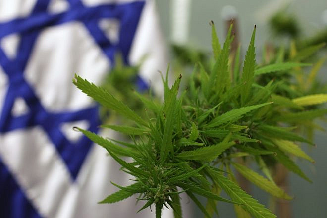 Israel has become the leader in cannabis research and innovation, using data to show the efficacy of cannabinoids (the active components of cannabis) in treating a range of health conditions, such as epilepsy and autism. Photo by Kobi Gideon/Flash90.