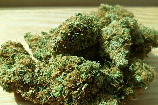 Medical cannabis. Credit: Pixabay.