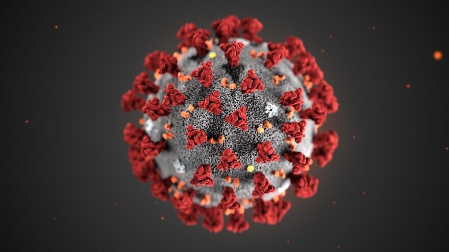 This illustration, created at the Centers for Disease Control and Prevention (CDC), reveals ultrastructural morphology exhibited by coronaviruses. Credit: Wikimedia Commons.