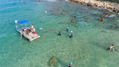 Near-shore excavation with newly developed barge system at biblical port of Tel Dor, Israel, by researchers at the University of Haifa and the University of Californian San Diego’s Scripps Center for Marine Archaeology (SCMA). Photo by Anthony Tamberino/SCMA.