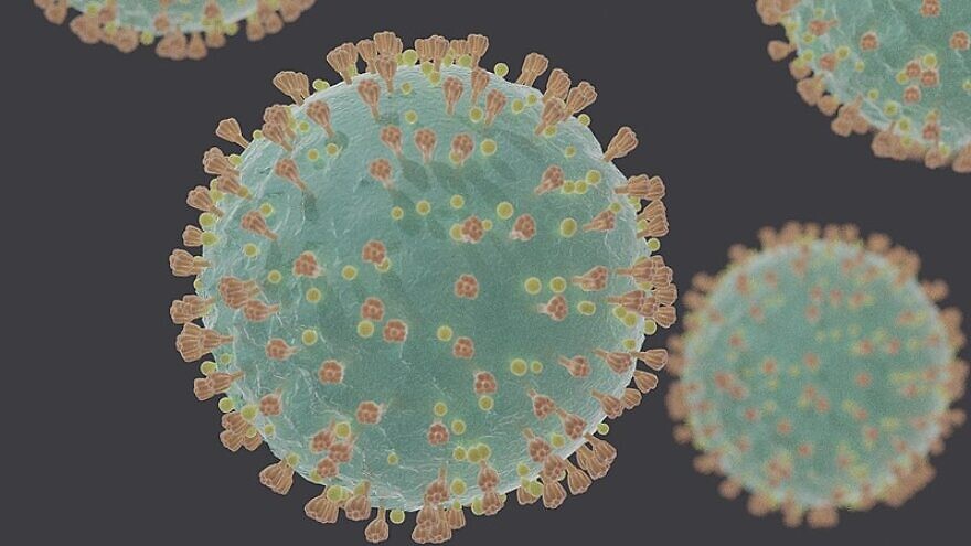 A computer generated representation of COVID-19 virions (SARS-CoV-2) seen under an electron microscope, Feb. 5, 2020. Credit: Felipe Esquivel Reed via Wikimedia Commons.