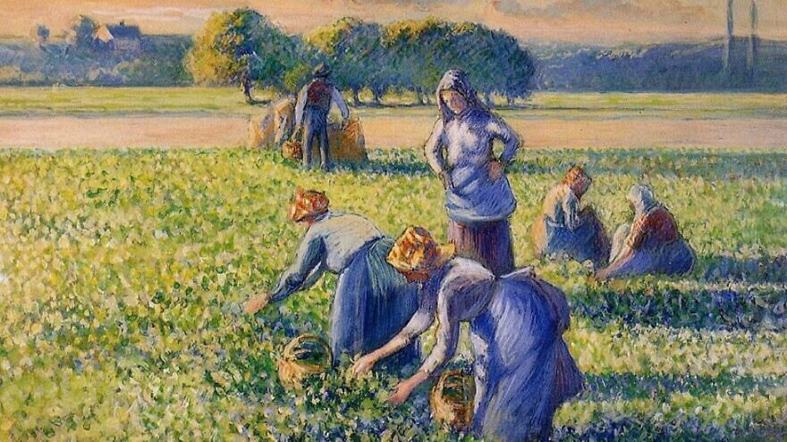 The 1887 painting “La Cueillette des Pois” (“Picking Peas”) by Camille Pissarro. Credit: Wikimedia Commons.