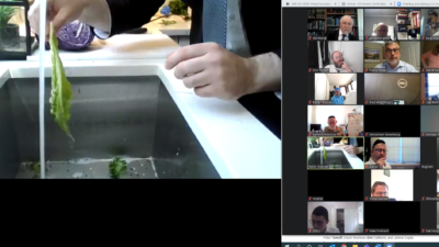 Participants from 23 countries joined the virtual event which focused on bedikas tolaim (checking for insect infestation) with real time closeup video of bugs on vegetables, as well as other topics