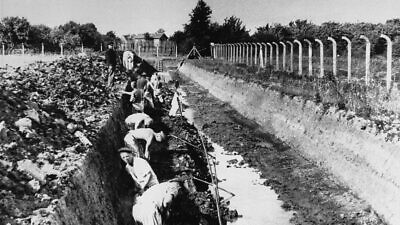 Prisoners in forced labor at Neuengamme concentration camp. Credit: U.S. Holocaust Memorial Museum via Wikimedia Commons.