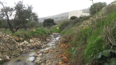Untreated sewage runs past the shuttered treatment facility at Ofra, in the Binyamin region of Samaria. Credit: Courtesy.