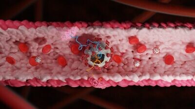 COVID-19 in a blood vessel. Image courtesy of Tel Aviv University.