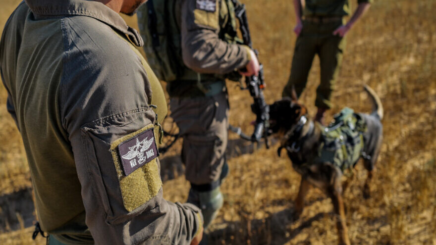 Israeli soldiers from the IDF Oketz canine unit patrol in Kerem Shalom, on the Gaza-Egypt border, May 18, 2022. Photo by Michael Giladi/Flash90.