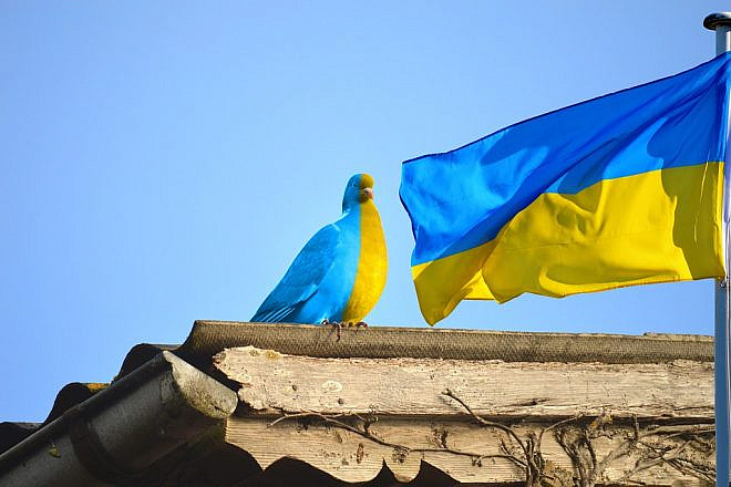 Humanitarian aid to Ukraine. Credit: Pixabay.