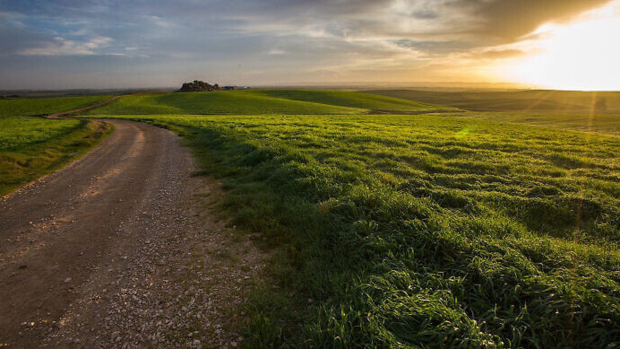 Sunrise in Bitronot Ruchama, a nature reserve of badlands in the area of Kibbutz Ruchama in the Western Negev, in southern Israel, on April 13, 2017. Photo by Maor Kinsbursky/Flash90.