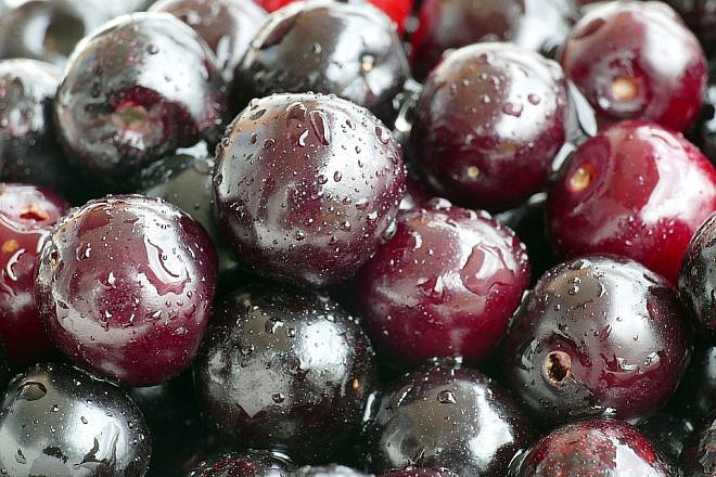 Dark cherries. Credit: Pixabay.