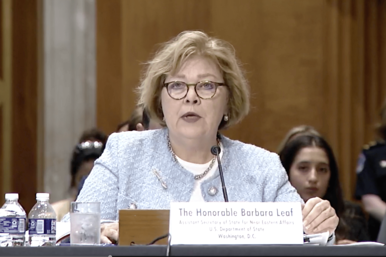 U.S. Assistant Secretary of State for Near Eastern Affairs Barbara Leaf. Source: Twitter.