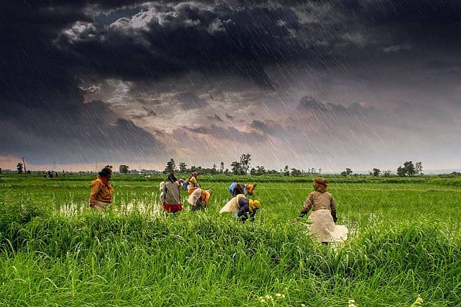 Monsoon clouds in Madhya Pradesh state, India. Credit: Rajarshi MITRA via Wikimedia Commons.