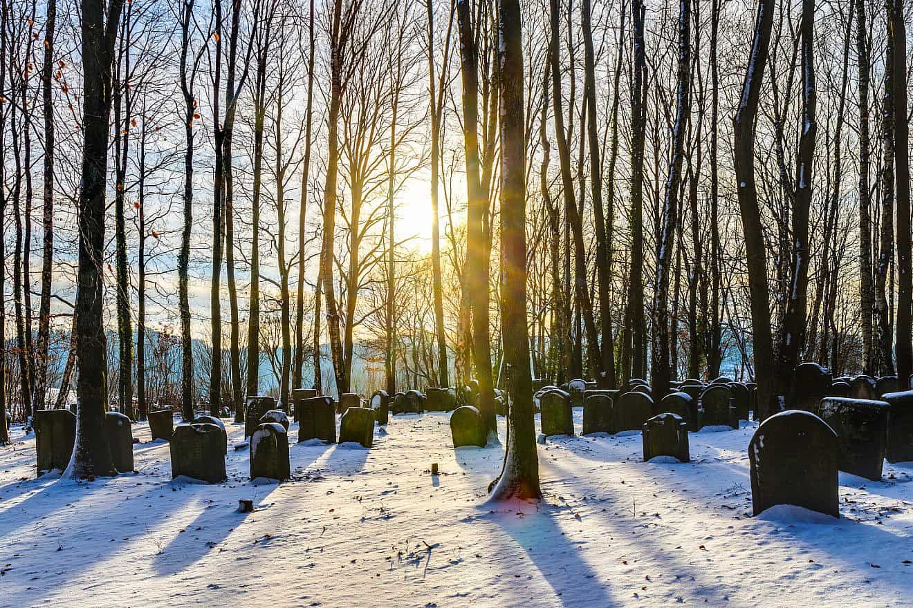 A Jewish graveyard in Bavaria, Germany. Credit: Andreas Zerndl/Shutterstock.