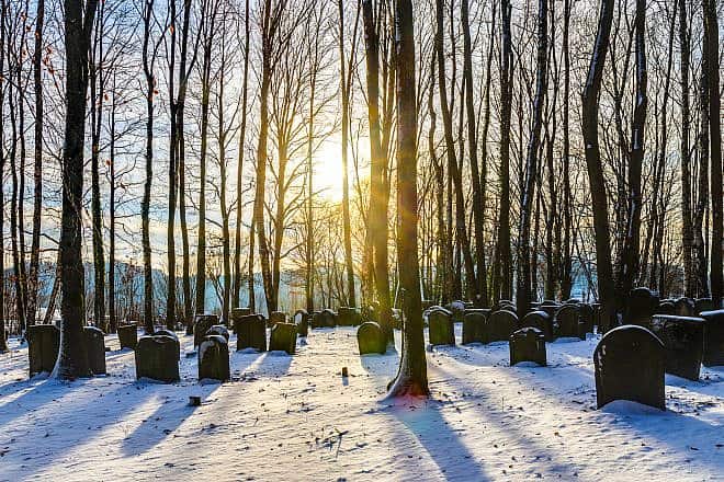 A Jewish graveyard in Bavaria, Germany. Credit: Andreas Zerndl/Shutterstock.