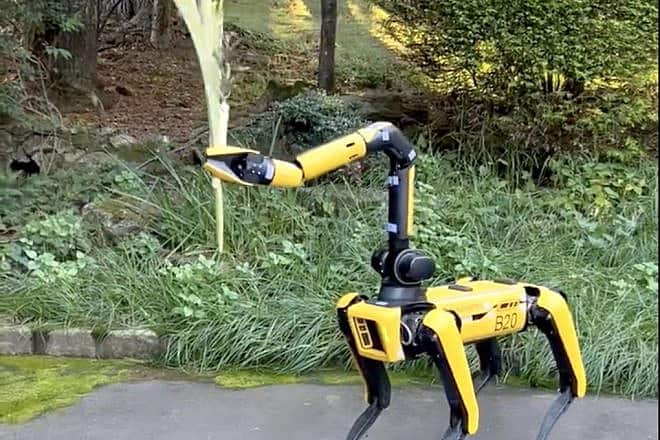 The Jewish novelist Dara Horn's family "pet," a Boston Dynamics robot, shakes a lulav for the Sukkot holiday. Source: X/Tablet magazine.