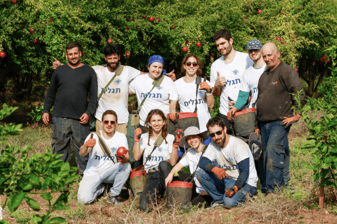 Birthright Israel alumni have been flocking to Israel to volunteer on its Onward program since the Hamas terrorist attacks on Oct. 7, 2023. Credit: Omer Melamed/Courtesy of Birthright Israel.