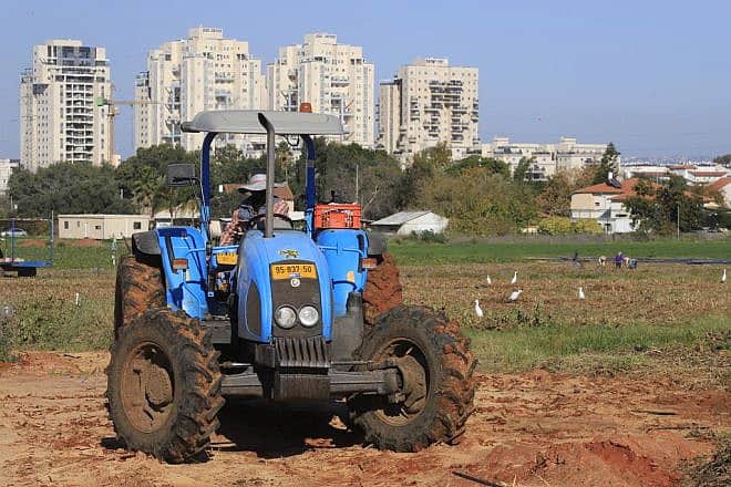 Farmers work the fields of Moshav Nehalim, south of Petach Tikvah, Dec. 27, 2020. Photo by Eitan Elhadez-Barak/TPS.