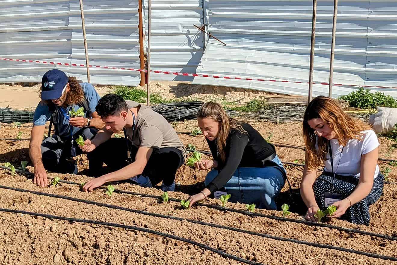 Alternative Break Students working the land of Israel (Photo Credit: Jewish National Fund-USA)