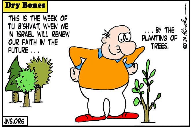 Credit: Yaakov (DryBones) Kirschen.