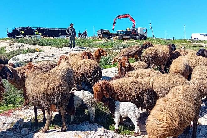 Givat Sde Yonatan, an outpost near Ma'ale Michmash in the Binyamin region of Samaria, was dismantled by Israeli security forces on Feb. 29, 2024. Credit: Elisha Yered/X.