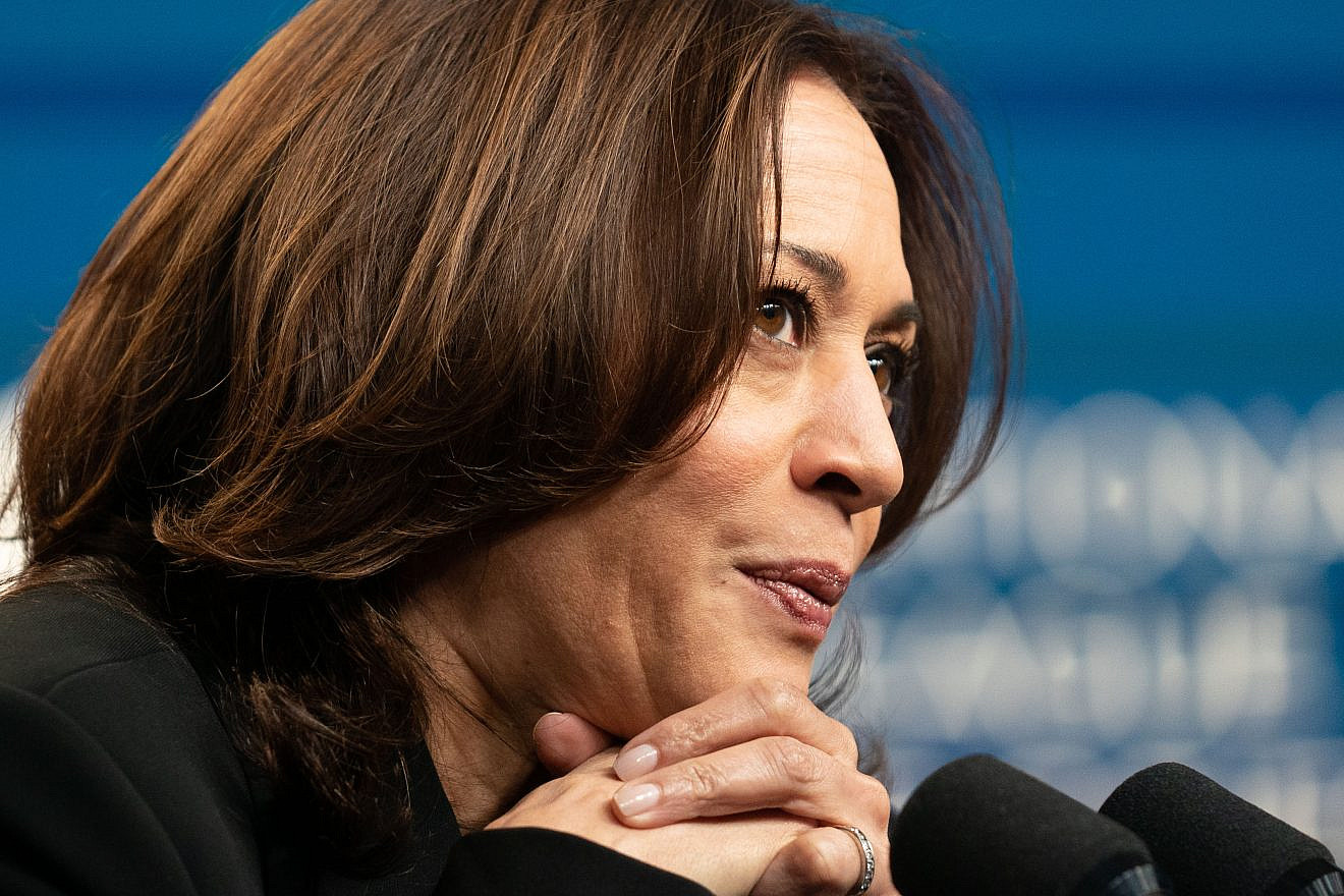 U.S. Vice President Kamala Harris speaks at the National League of Cities via video conference on March 8, 2021. Credit: Lawrence Jackson/White House.