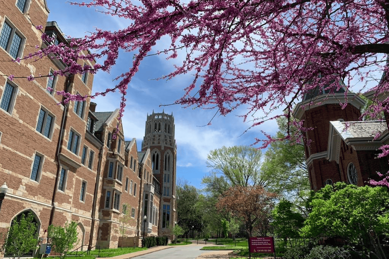 The campus of Vanderbuilt University in Nashville, Tenn. Credit: BugsMeanee via Wikimedia Commons.