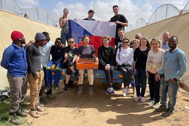 Czech Ambassador Veronika Kuchynova Smigolova (center) takes a break from picking zucchinis and cherry tomatoes at Moshav Mivtahim near the southern Gaza Strip, March 29, 2024. Credit: Courtesy of the Embassy of the Czech Republic.