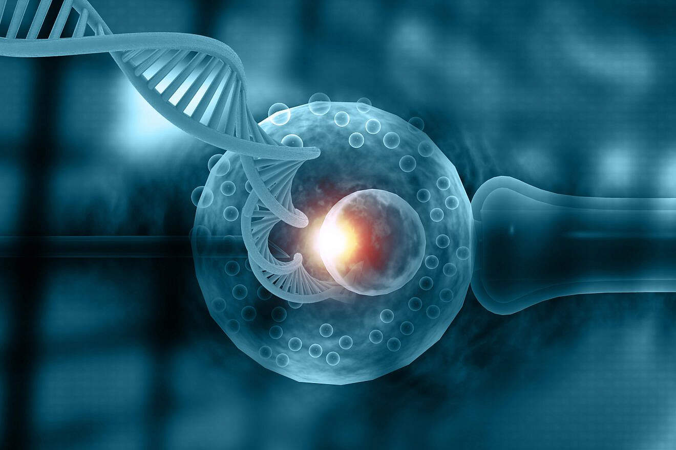 Vitro Fertilization. IVF with DNA strand. Credit: Explode/Shutterstock.
