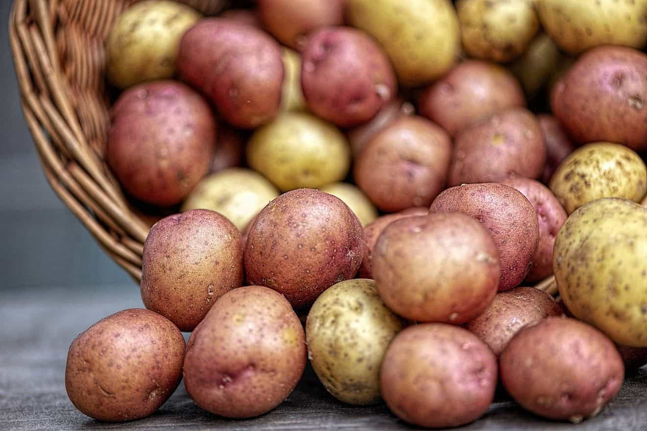 Assorted potatoes. Credit: Stan Balik/Pixabay.