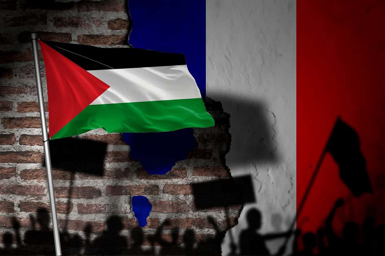 Demonstration in France in support of a Palestinian state. Credit: Hapelinium/Shutterstock.