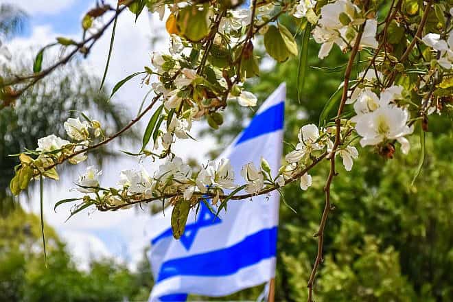 Israeli flag. Credit: Ri-Ya/Pixabay.
